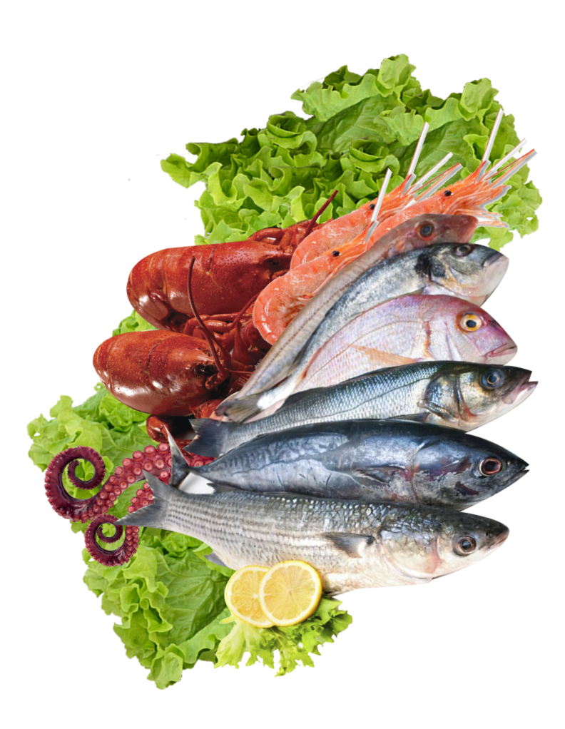 Alree Maree Poissonnerie Auray Conservation Des Poissons