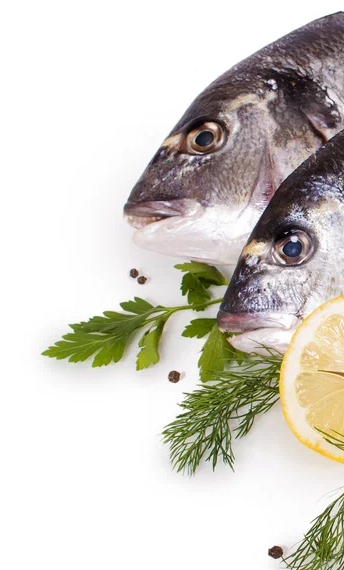 Alree Maree Poissonnerie Auray Nos Qualifications